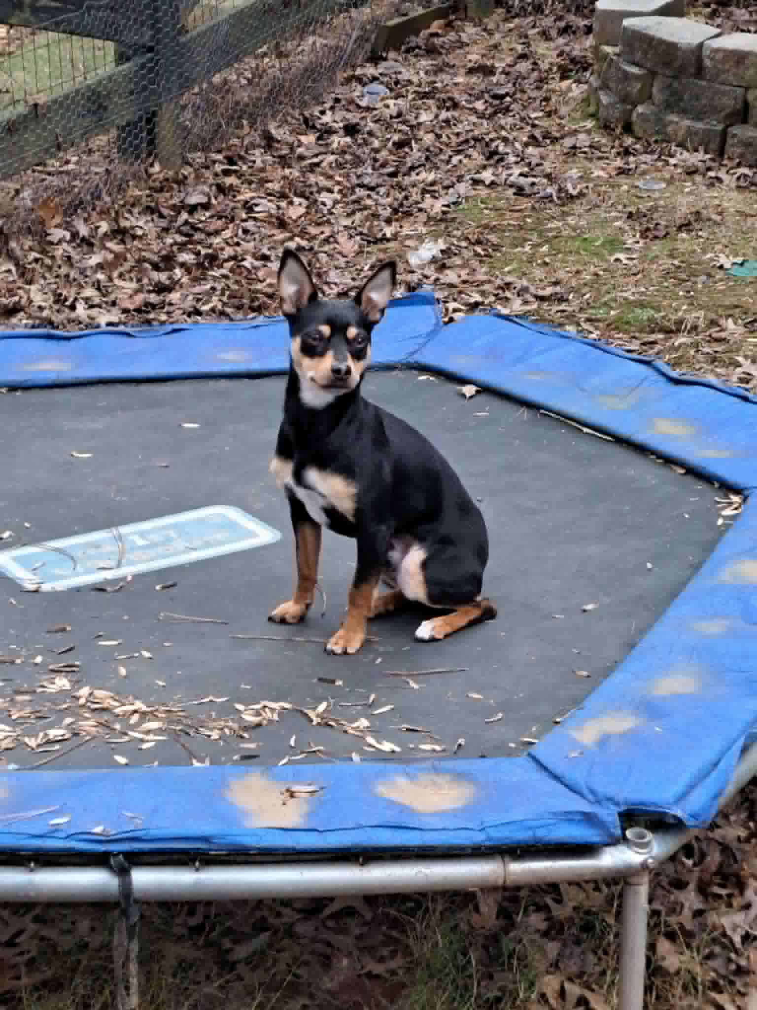 Benny enjoying a visit