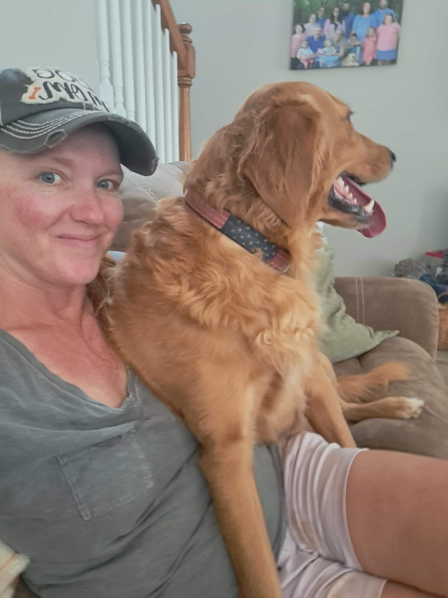 Biscuit enjoying in-home dog sitting care