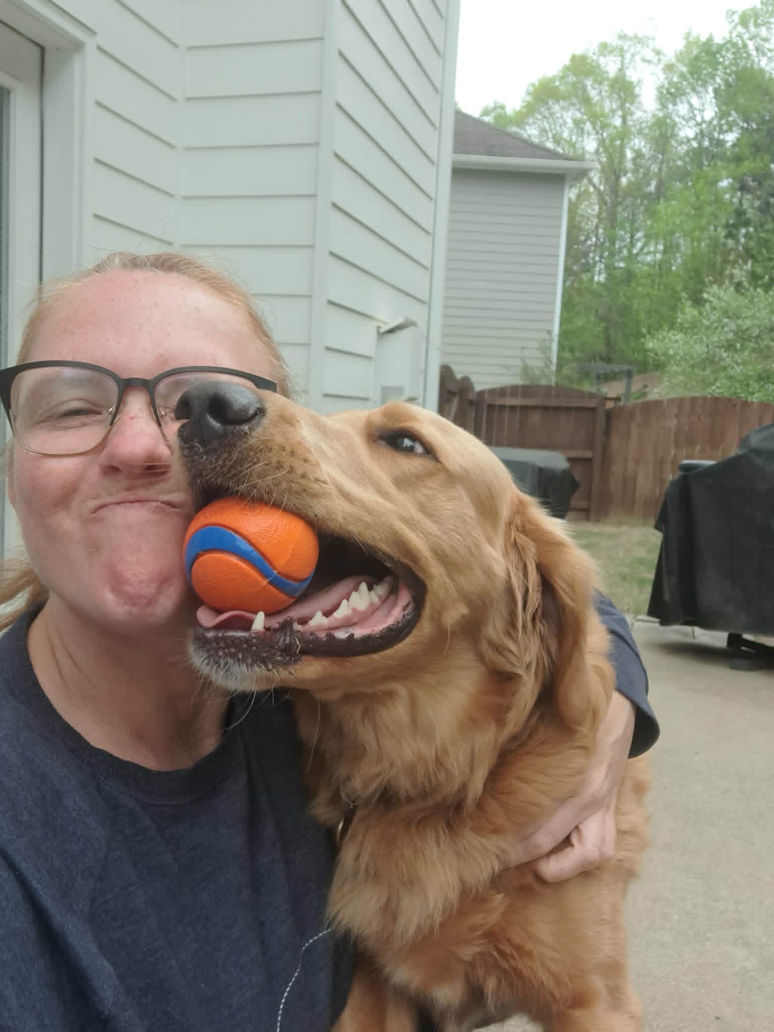 Biscuit posing for a photo