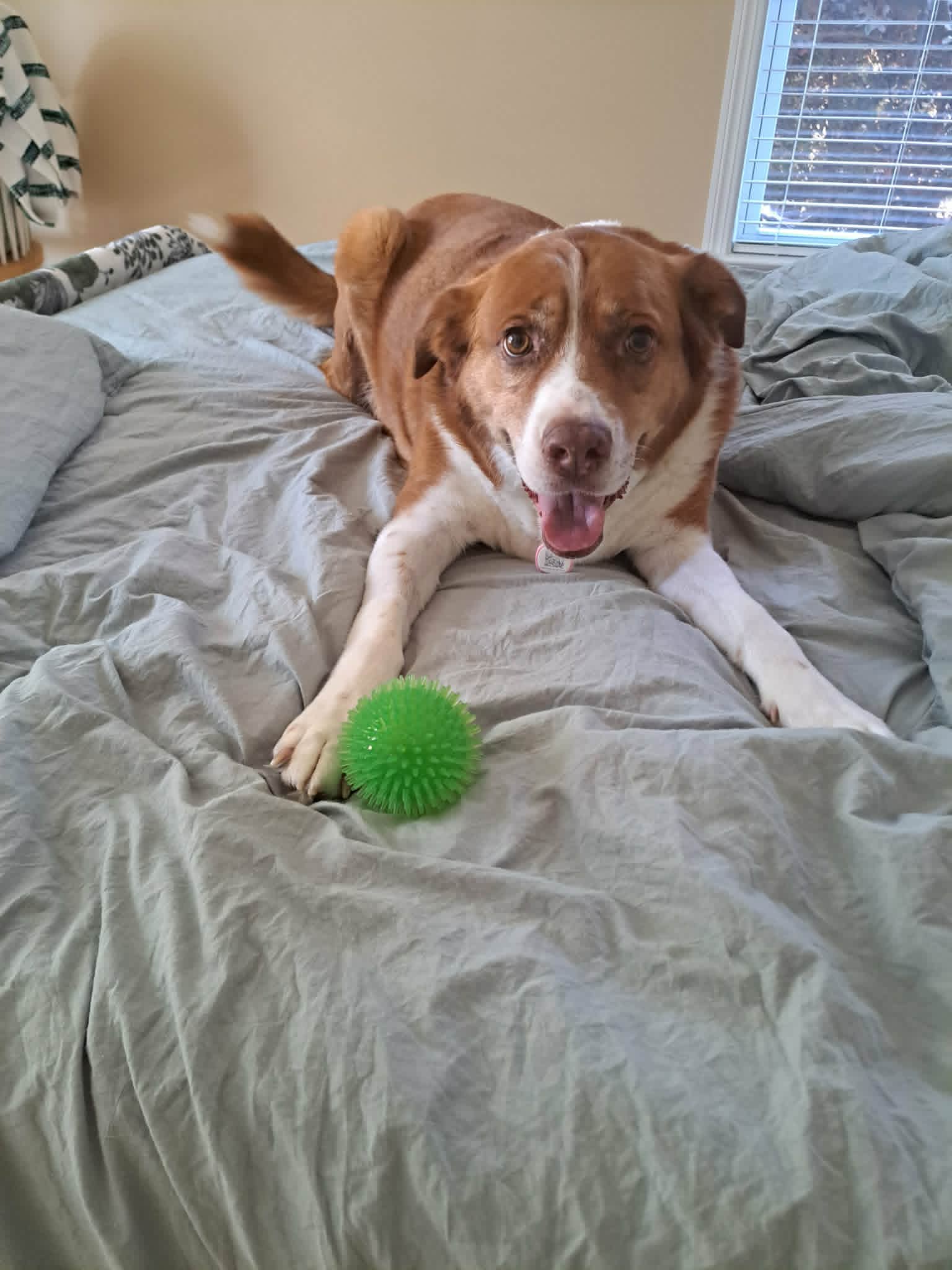 Grace smiling on the bed