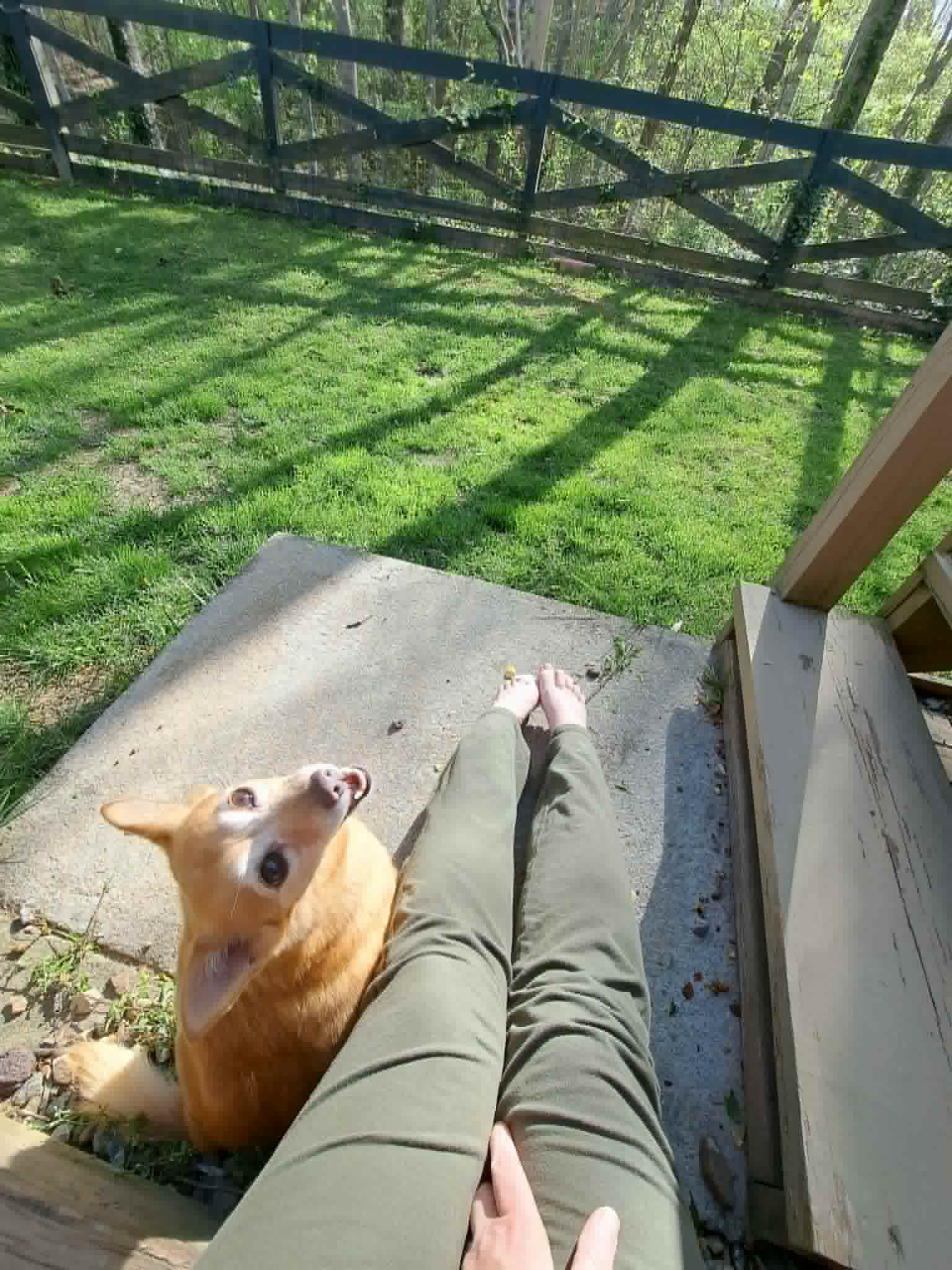 Lady looking up adorably on the porch